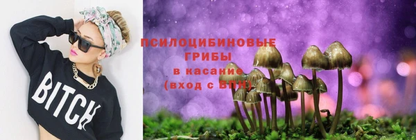 прущая мука Богородицк
