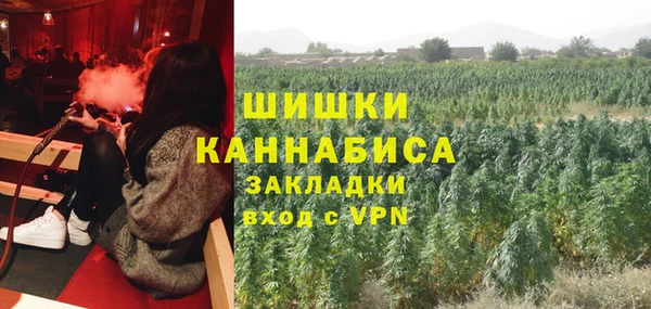 прущая мука Богородицк