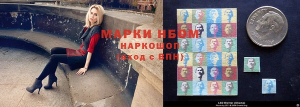 прущая мука Богородицк