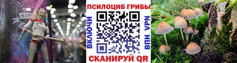 купить наркотик  Верхняя Тура  Псилоцибиновые грибы ЛСД 